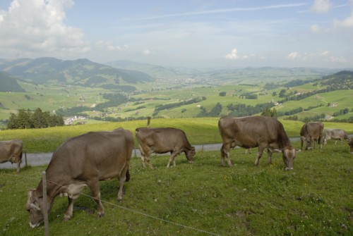 Appenzell | Brülisau | Hoher Kasten