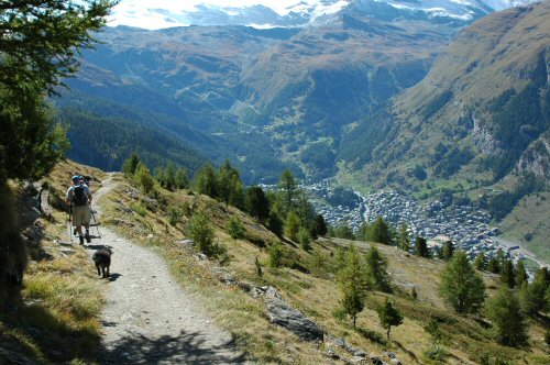 Blick auf Zermatt