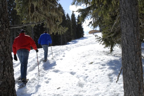 Von Axams auf die Birgitzer Alm und weiter zum Birgitzköpflhaus