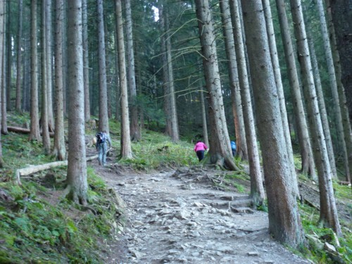 Bad Kohlgrub | Hörnlehütte | Hörnle