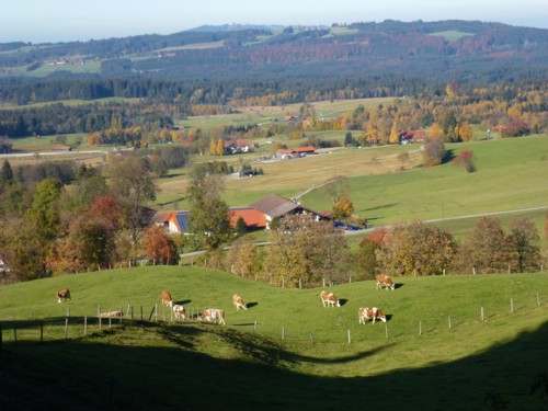 Bad Kohlgrub | Hörnlehütte | Hörnle