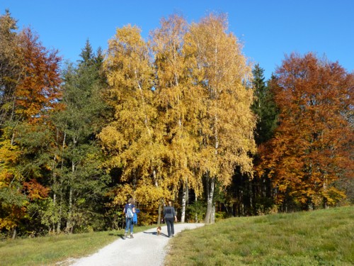 Bad Kohlgrub | Hörnlehütte | Hörnle