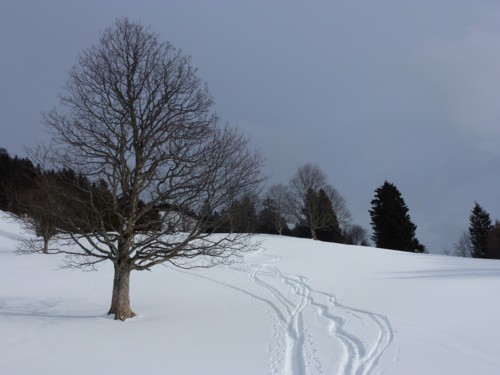 Kappl | Hörnlehütte | Schneeschuhe | Ammergauer Alpen