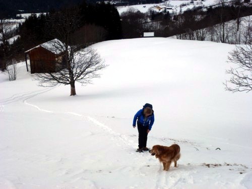 Kappl | Hörnlehütte | Schneeschuhe | Ammergauer Alpen