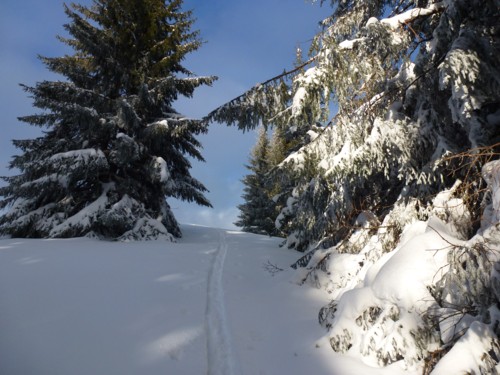 Kappl | Hörnlehütte | Schneeschuhe | Ammergauer Alpen