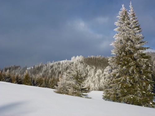 Kappl | Hörnlehütte | Schneeschuhe | Ammergauer Alpen