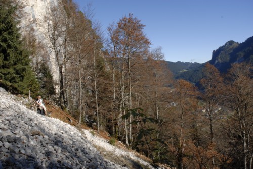 Oberammergau | Kofel