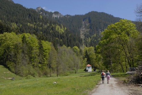 Ammergauer | Ettal | Laberjoch | Laberjochhaus