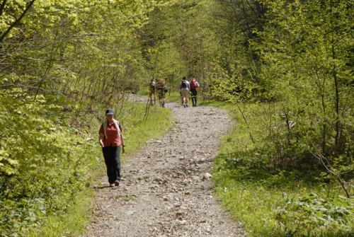 Ammergauer | Ettal | Laberjoch | Laberjochhaus