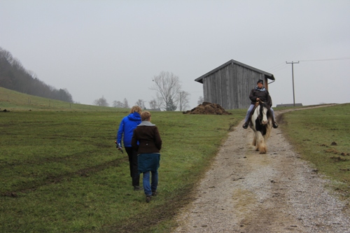 Ammergauer | Murnauer Moos | Bad Kohlgrub