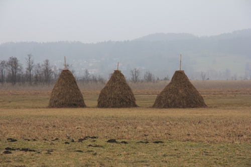 Ammergauer | Murnauer Moos | Bad Kohlgrub