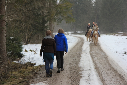 Ammergauer | Murnauer Moos | Bad Kohlgrub