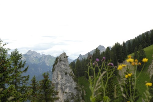 Ammergauer | Schloss Linderhof | Pürschlinghaus