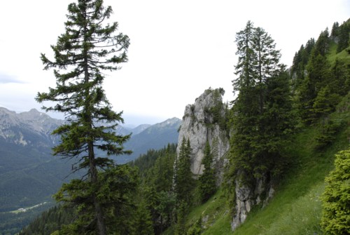 Ammergauer | Schloss Linderhof | Pürschlinghaus