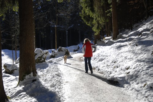 Winterwanderung auf Sankt Marin am Grasberg in Garmisch-Partenkirchen