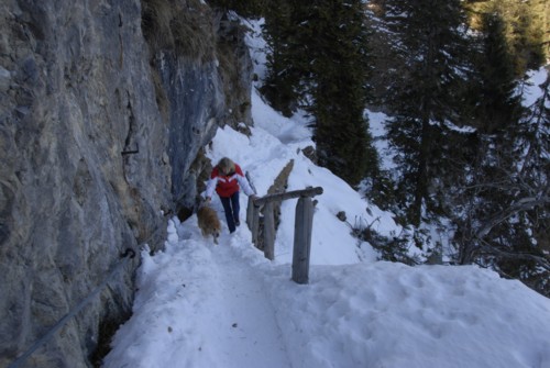 Weg von Sankt Martin am Grasberg bei Garmisch-Partenkirchen auf die eiserne Kanzel