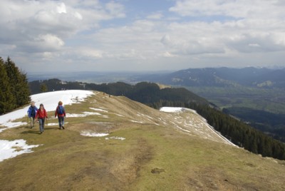 Abstieg vom Zwiesel auf dem Weg von Wackersberg zum Blomberg