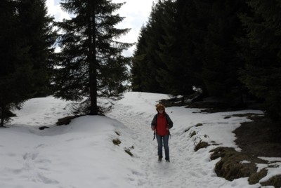 Abstieg vom Zwiesel auf dem Weg von Wackersberg zum Blomberg