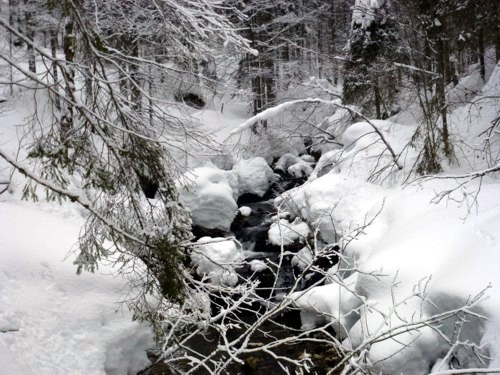 Schneeschuhtour | Buchsteinhütte | Wildbad Kreuth | Schwarzenbachtal