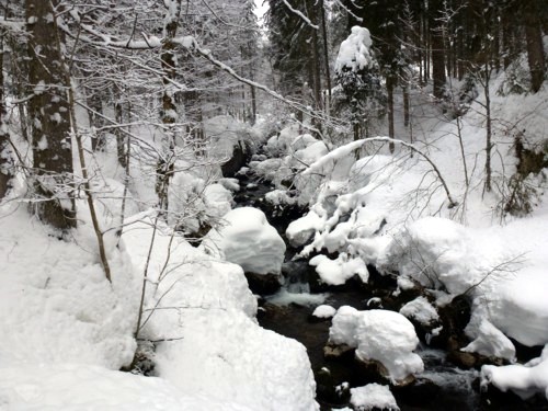 Schneeschuhtour | Buchsteinhütte | Wildbad Kreuth | Schwarzenbachtal