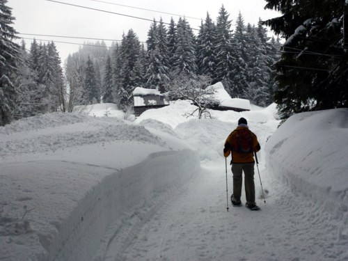 Schneeschuhtour | Buchsteinhütte | Wildbad Kreuth | Schwarzenbachtal