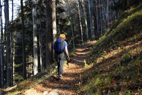 Fischhausen | Schliersee | Hohenwaldeck