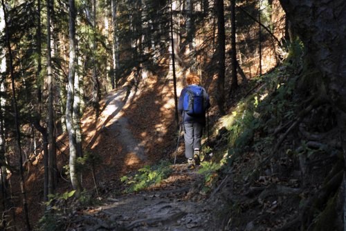 Fischhausen | Schliersee | Hohenwaldeck