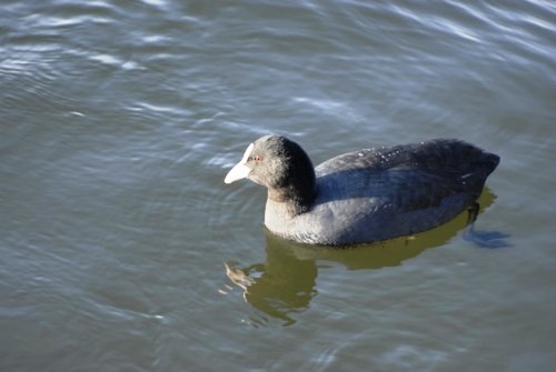 Fischhausen | Schliersee | Hohenwaldeck