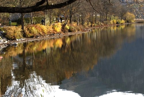 Fischhausen | Schliersee | Hohenwaldeck