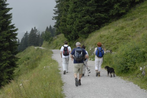 Brauneck | Brauneckhaus | Stiealm | Latschenköpfe