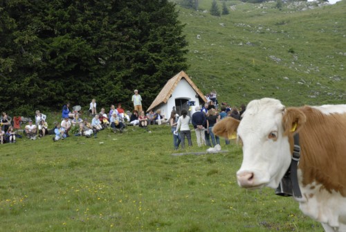 Brauneck | Brauneckhaus | Stiealm | Latschenköpfe