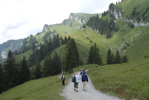 Brauneck | Brauneckhaus | Stiealm | Latschenköpfe