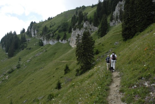 Brauneck | Brauneckhaus | Stiealm | Latschenköpfe