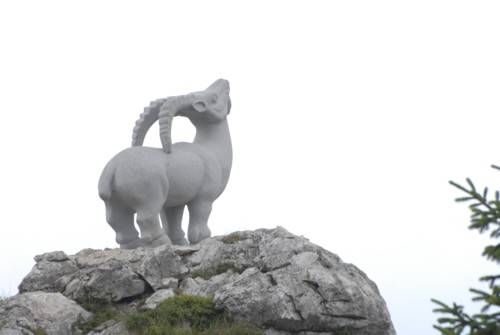 Brauneck | Brauneckhaus | Stiealm | Latschenköpfe