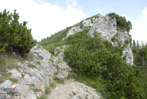 Brauneck | Brauneckhaus | Stiealm | Latschenköpfe