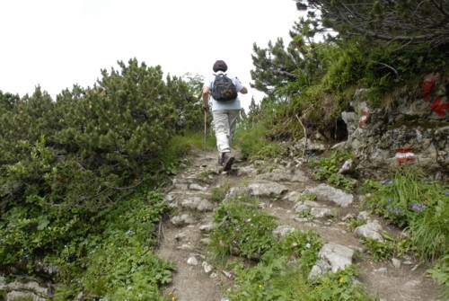 Brauneck | Brauneckhaus | Stiealm | Latschenköpfe