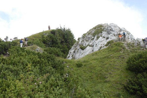 Brauneck | Brauneckhaus | Stiealm | Latschenköpfe