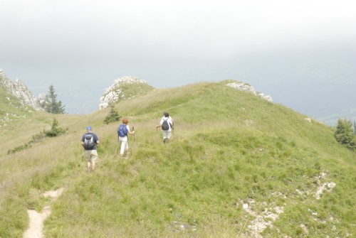 Brauneck | Brauneckhaus | Stiealm | Latschenköpfe