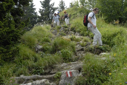 Brauneck | Brauneckhaus | Stiealm | Latschenköpfe