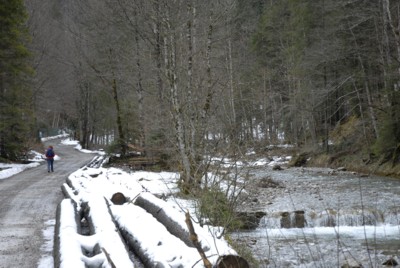 Frhjahrswanderung von Bad Wiessee zur Schwarztennhtte; hier Sllbach