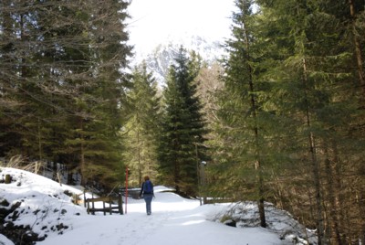 Frhjahrswanderung von Bad Wiessee zur Schwarztennhtte