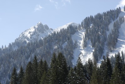 Blick auf den Buchstein