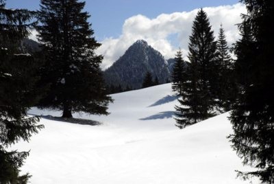 Blick auf den Leonhardistein