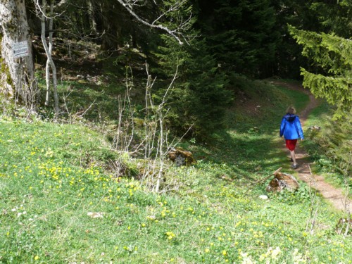 Von der Mitteralm am Wendelstein auf die Reindleralm