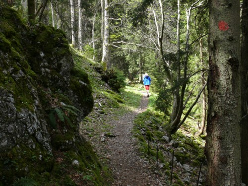 Von der Mitteralm am Wendelstein auf die Reindleralm