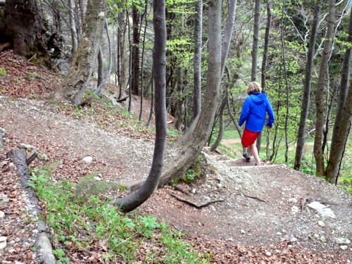 Von der Mitteralm am Wendelstein auf die Reindleralm