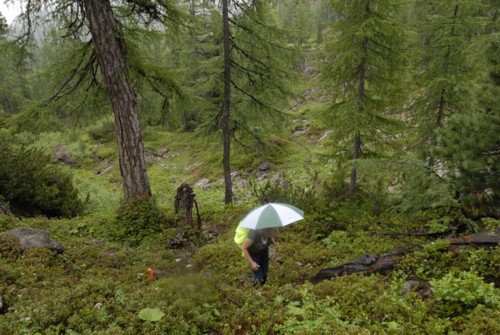 Kärlingerhaus | Hundstodgatterl | Wimbachgrieshütte | Nationalpark Berchtesgaden | Steinernes Meer