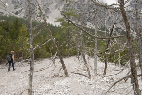 Kärlingerhaus | Hundstodgatterl | Wimbachgrieshütte | Nationalpark Berchtesgaden | Steinernes Meer