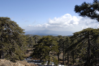 Wanderung um den Mount Olympos, Zypern