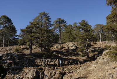 Gipfelumrundung Mount Olympos, Zypern